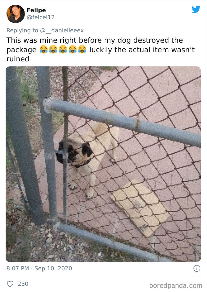 People Are Sharing How Amazon &#8216;Hides&#8217; Their Deliveries In A Hilarious Twitter Thread