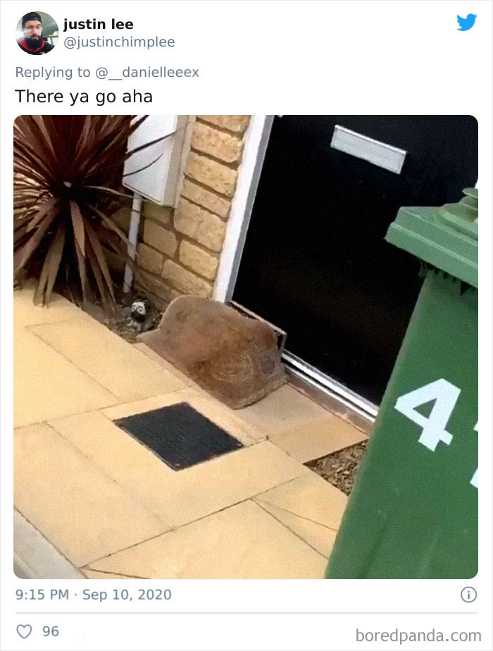 People Are Sharing How Amazon &#8216;Hides&#8217; Their Deliveries In A Hilarious Twitter Thread