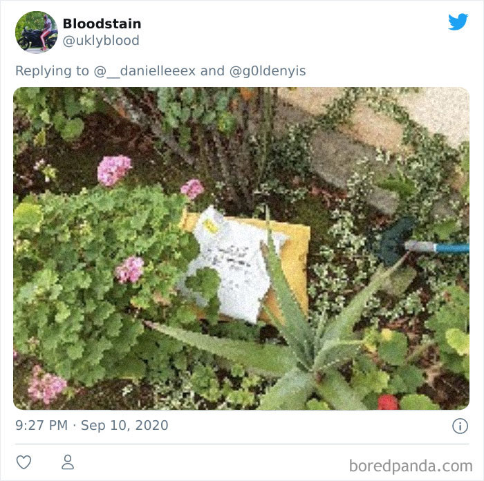 People Are Sharing How Amazon &#8216;Hides&#8217; Their Deliveries In A Hilarious Twitter Thread