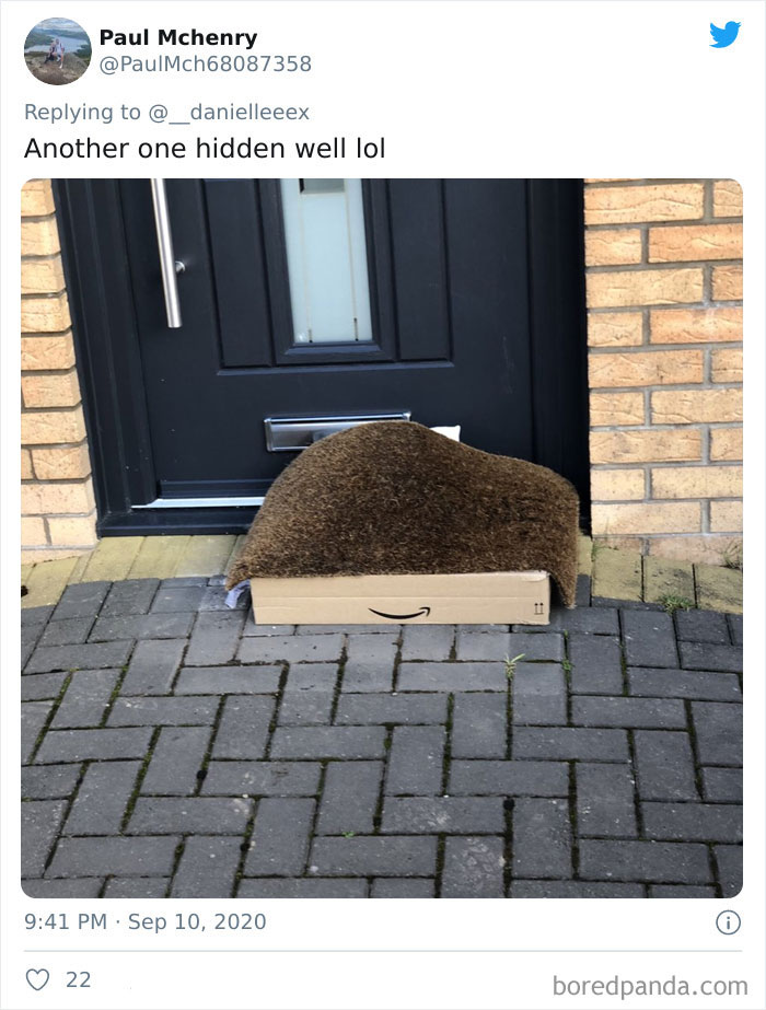 People Are Sharing How Amazon &#8216;Hides&#8217; Their Deliveries In A Hilarious Twitter Thread