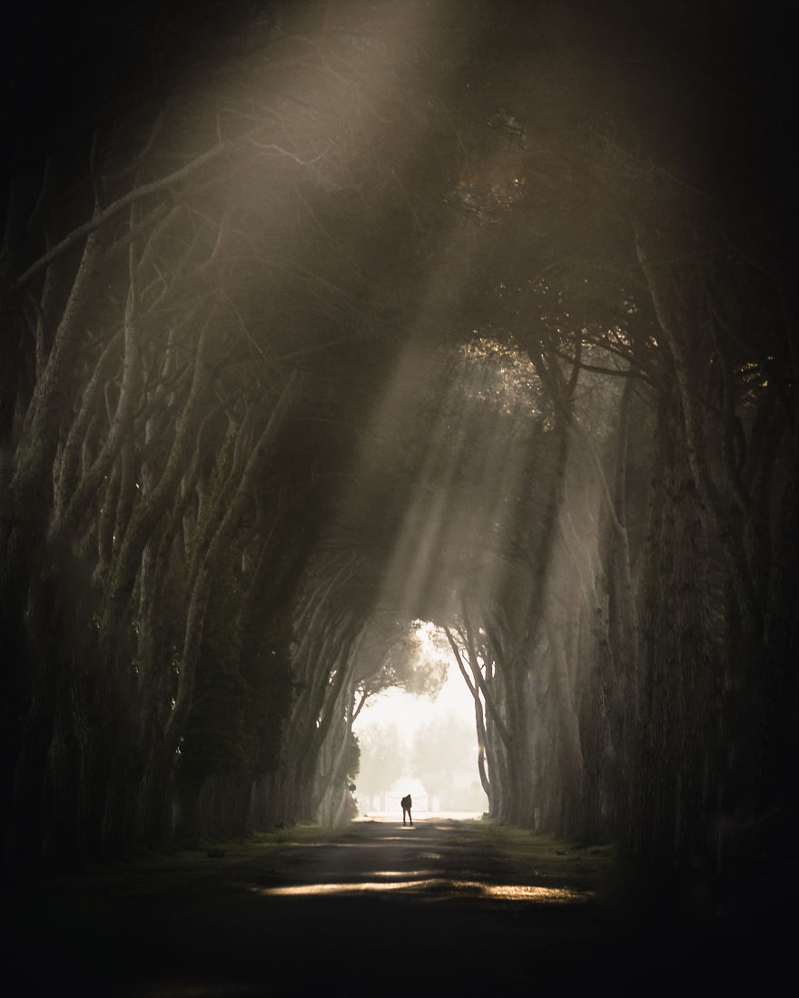 Photographers From All Over The World Participated In Our ‘Travel 2020’ Competition, Here Are 50 Of The Best Entries Photographers From All Over The World Participated In Our ‘Travel 2020’ Competition, Here Are 50 Of The Best Entries