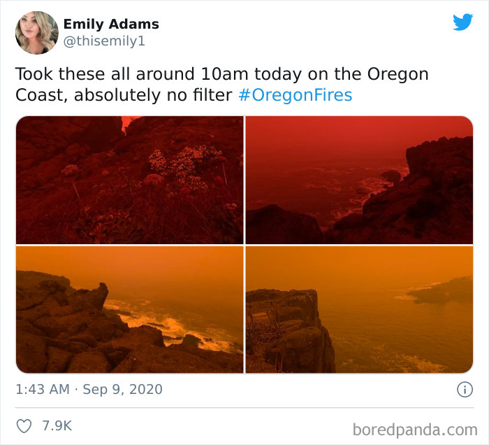 People Are Sharing Pics From The Hell On Earth That Is Happening In The West Coast Right Now (40 Pics) People Are Sharing Pics From The Hell On Earth That Is Happening In The West Coast Right Now (40 Pics)