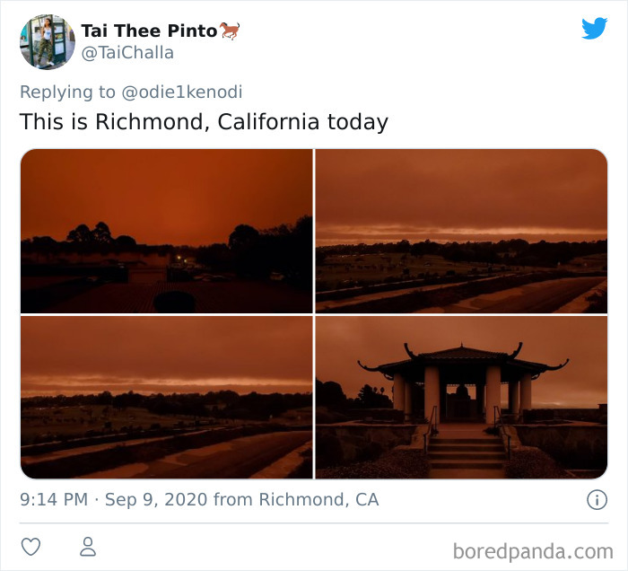 People Are Sharing Pics From The Hell On Earth That Is Happening In The West Coast Right Now (40 Pics) People Are Sharing Pics From The Hell On Earth That Is Happening In The West Coast Right Now (40 Pics)