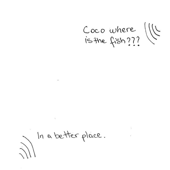 Artist Created These 33 Comics To Show His Cat’s Life In Quarantine Artist Created These 33 Comics To Show His Cat’s Life In Quarantine