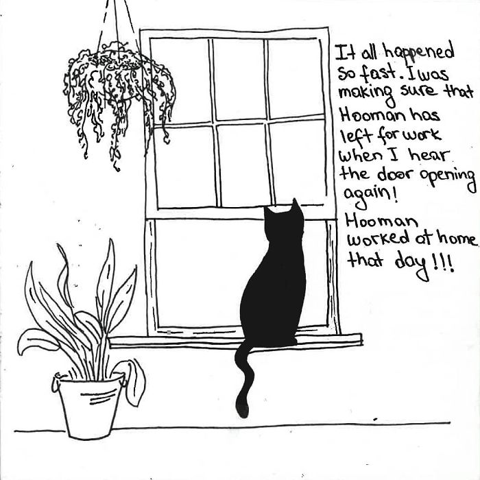 Artist Created These 33 Comics To Show His Cat’s Life In Quarantine Artist Created These 33 Comics To Show His Cat’s Life In Quarantine