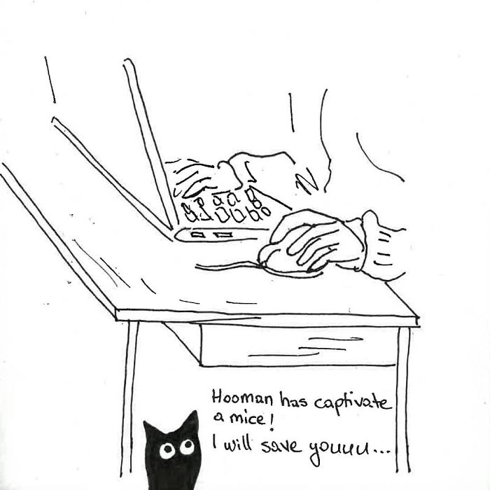 Artist Created These 33 Comics To Show His Cat’s Life In Quarantine Artist Created These 33 Comics To Show His Cat’s Life In Quarantine