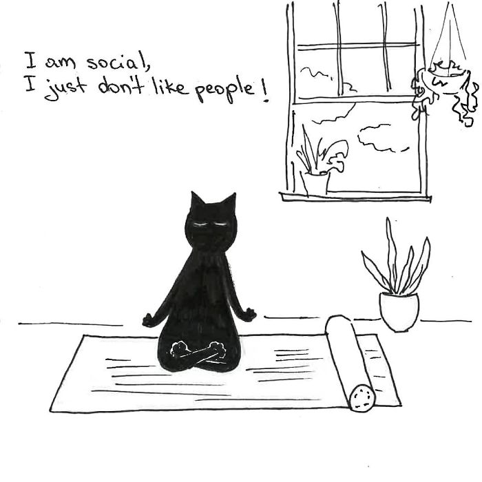 Artist Created These 33 Comics To Show His Cat’s Life In Quarantine Artist Created These 33 Comics To Show His Cat’s Life In Quarantine