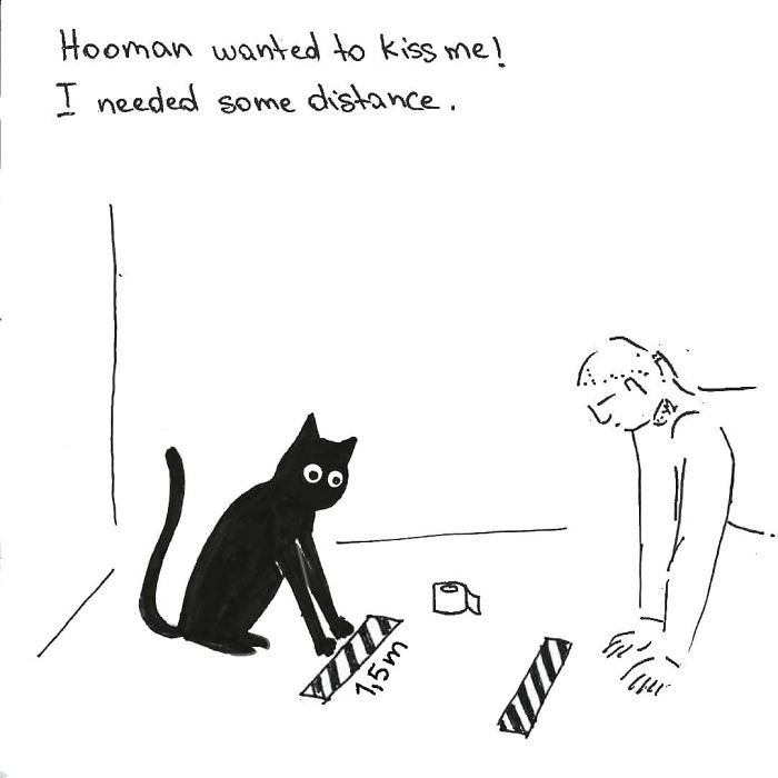 Artist Created These 33 Comics To Show His Cat’s Life In Quarantine Artist Created These 33 Comics To Show His Cat’s Life In Quarantine