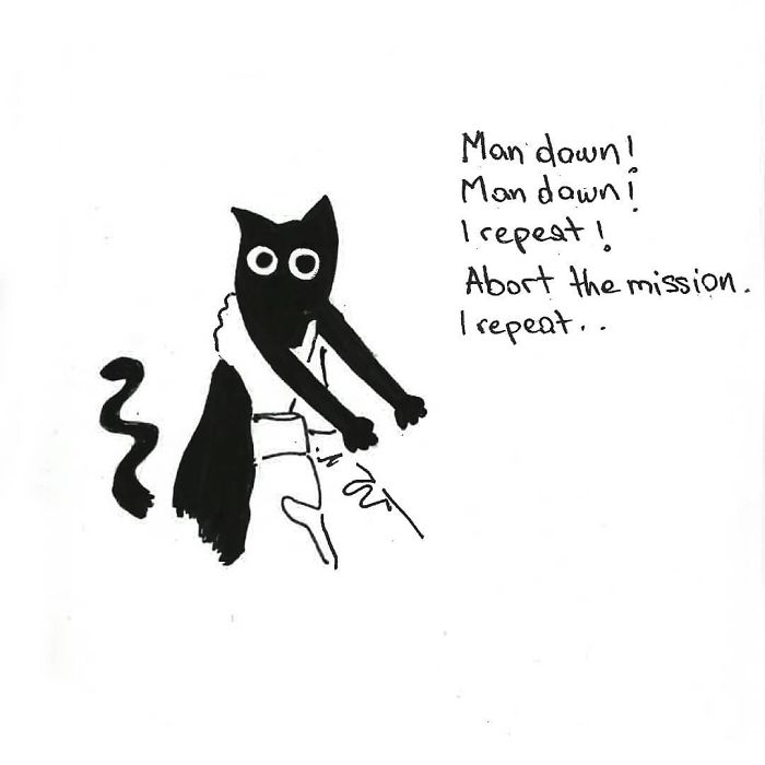 Artist Created These 33 Comics To Show His Cat’s Life In Quarantine Artist Created These 33 Comics To Show His Cat’s Life In Quarantine