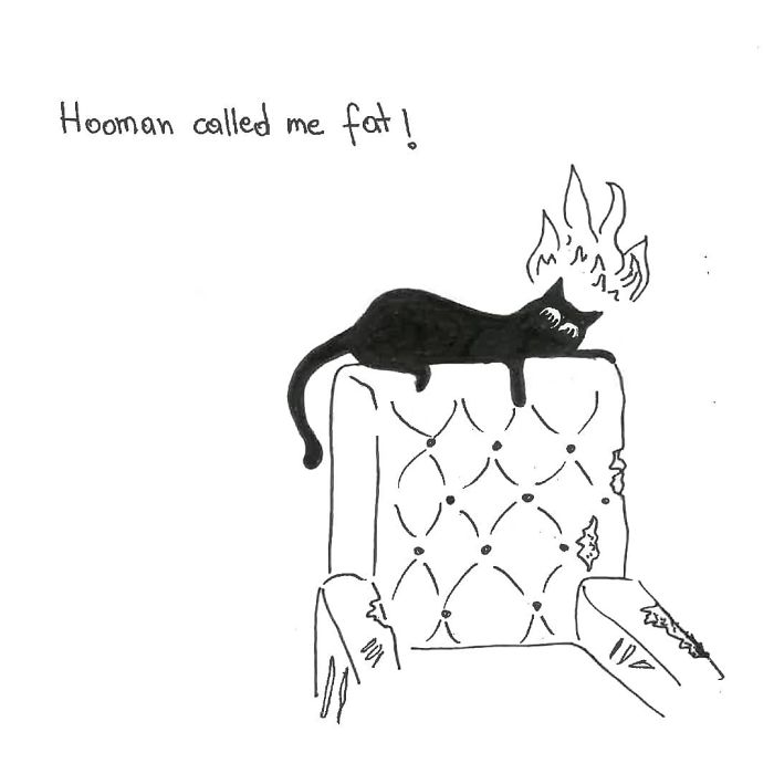 Artist Created These 33 Comics To Show His Cat’s Life In Quarantine Artist Created These 33 Comics To Show His Cat’s Life In Quarantine