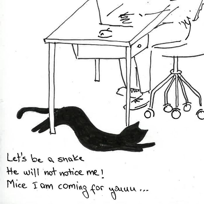 Artist Created These 33 Comics To Show His Cat’s Life In Quarantine Artist Created These 33 Comics To Show His Cat’s Life In Quarantine