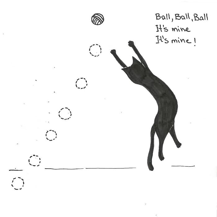 Artist Created These 33 Comics To Show His Cat’s Life In Quarantine Artist Created These 33 Comics To Show His Cat’s Life In Quarantine