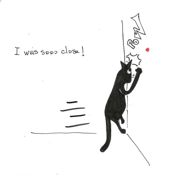 Artist Created These 33 Comics To Show His Cat’s Life In Quarantine Artist Created These 33 Comics To Show His Cat’s Life In Quarantine