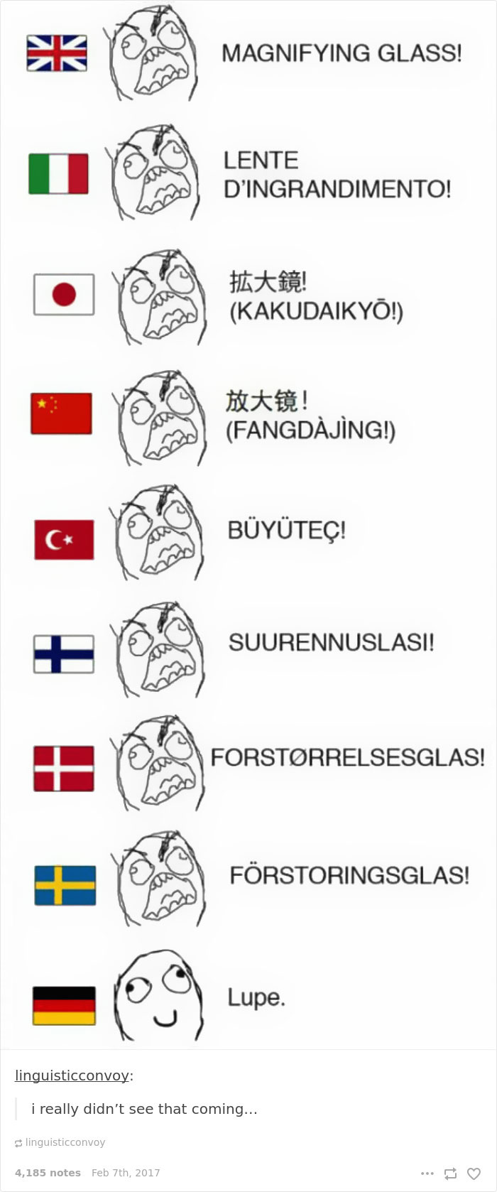 50 Hilarious Reasons Why The German Language Is The Worst 50 Hilarious Reasons Why The German Language Is The Worst