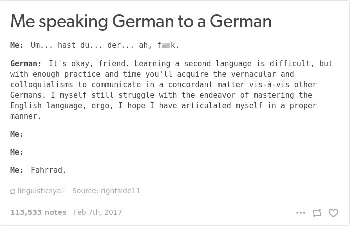 50 Hilarious Reasons Why The German Language Is The Worst