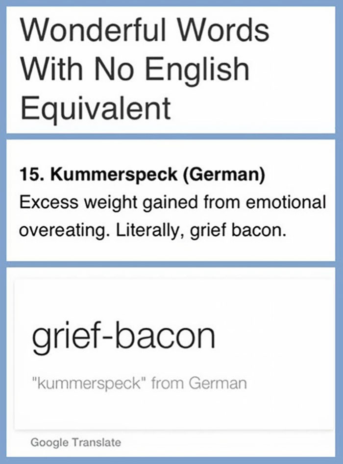 50 Hilarious Reasons Why The German Language Is The Worst