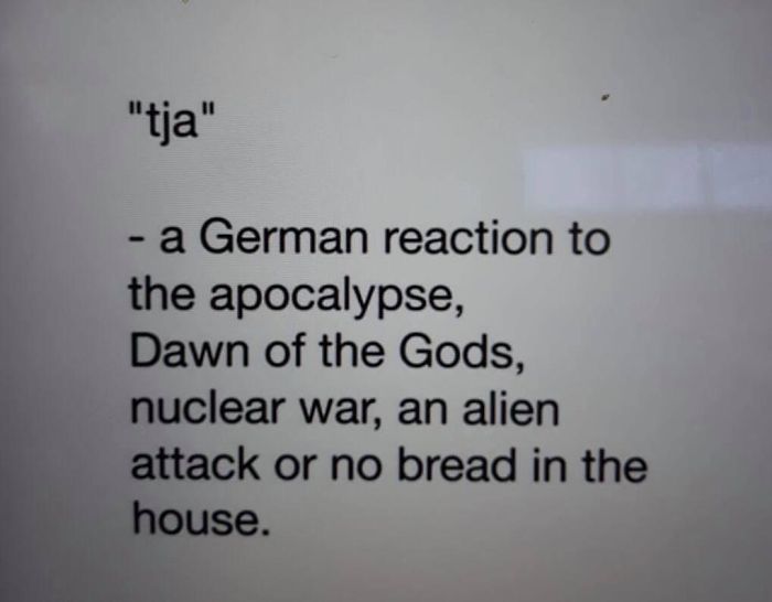 50 Hilarious Reasons Why The German Language Is The Worst