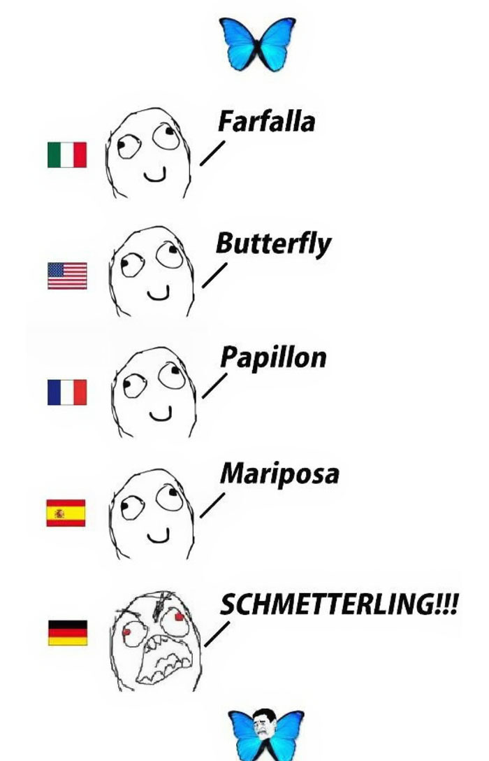 50 Hilarious Reasons Why The German Language Is The Worst