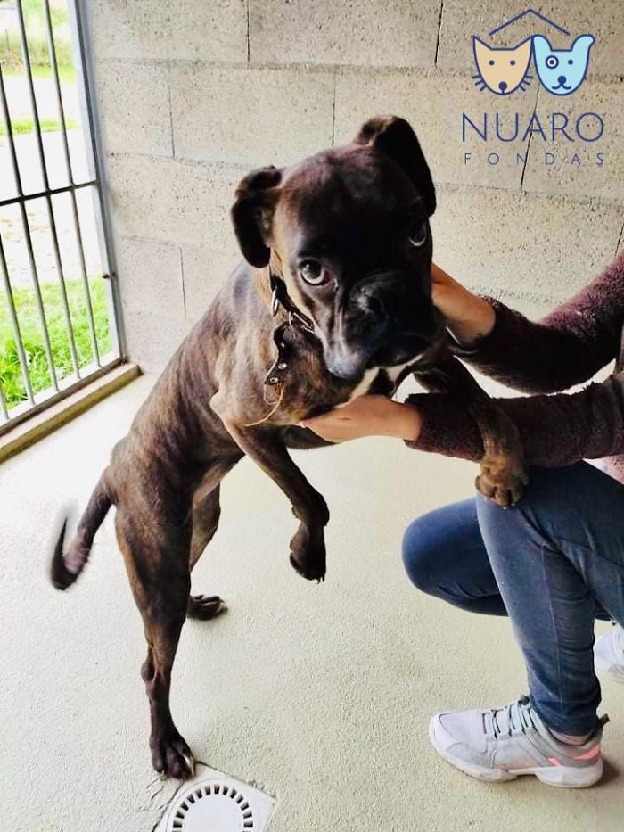 Huge Illegal Dog Breeding Operation In Lithuania Is Exposed After Dog Gets Kidnapped And Found In Illegal Puppy Mill Huge Illegal Dog Breeding Operation In Lithuania Is Exposed After Dog Gets Kidnapped And Found In Illegal Puppy Mill