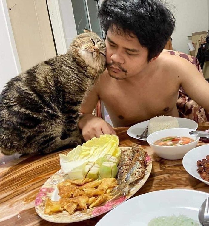 Wife Documents How This Cat Stole Her Husband In 30 Adorable Pics Wife Documents How This Cat Stole Her Husband In 30 Adorable Pics