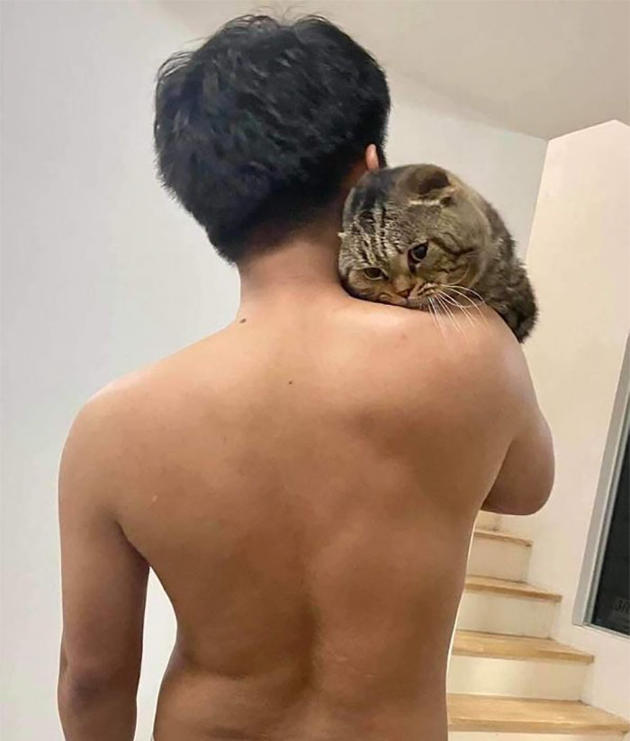 Wife Documents How This Cat Stole Her Husband In 30 Adorable Pics Wife Documents How This Cat Stole Her Husband In 30 Adorable Pics
