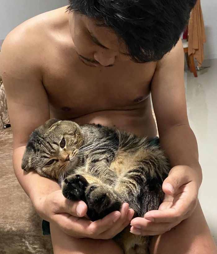 Wife Documents How This Cat Stole Her Husband In 30 Adorable Pics Wife Documents How This Cat Stole Her Husband In 30 Adorable Pics