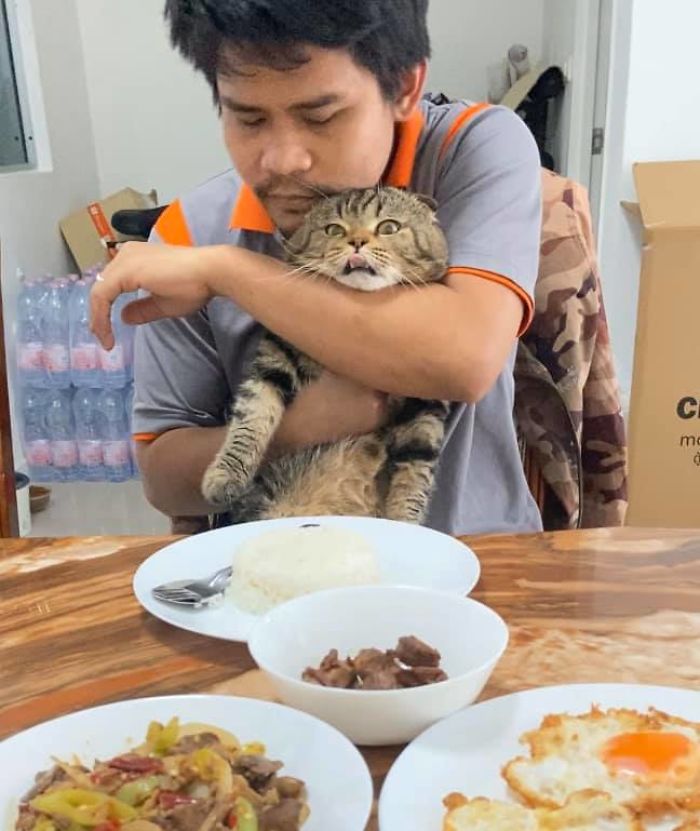 Wife Documents How This Cat Stole Her Husband In 30 Adorable Pics Wife Documents How This Cat Stole Her Husband In 30 Adorable Pics