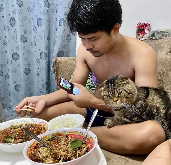 Wife Documents How This Cat Stole Her Husband In 30 Adorable Pics Wife Documents How This Cat Stole Her Husband In 30 Adorable Pics