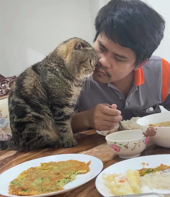 Wife Documents How This Cat Stole Her Husband In 30 Adorable Pics Wife Documents How This Cat Stole Her Husband In 30 Adorable Pics