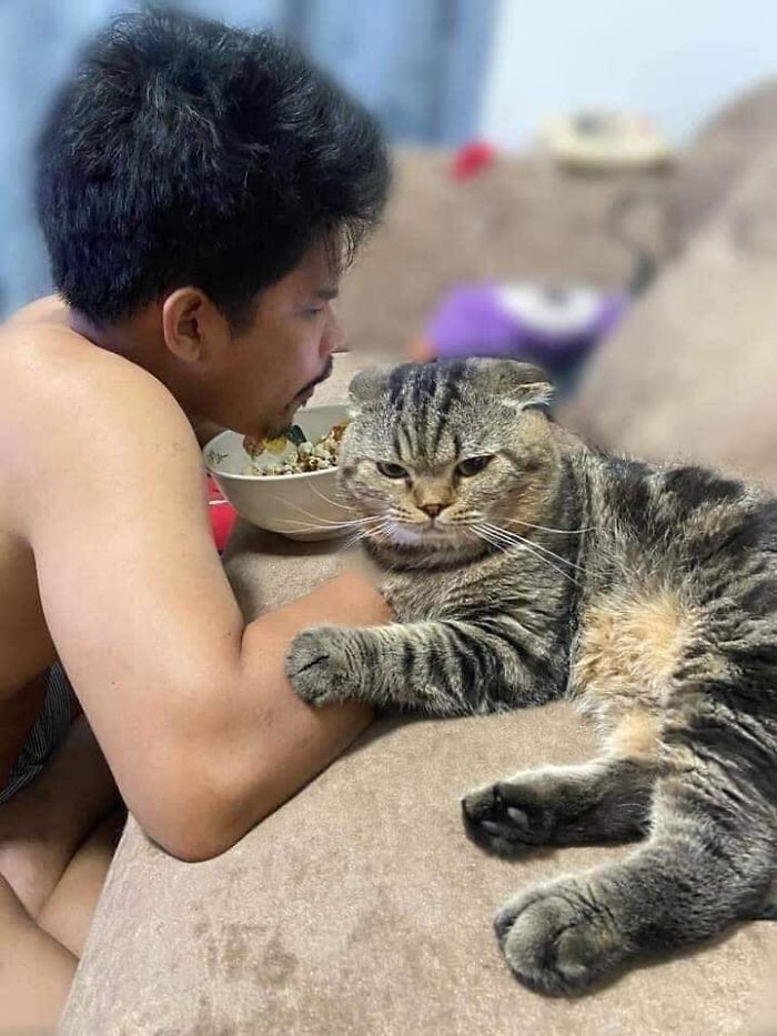 Wife Documents How This Cat Stole Her Husband In 30 Adorable Pics Wife Documents How This Cat Stole Her Husband In 30 Adorable Pics