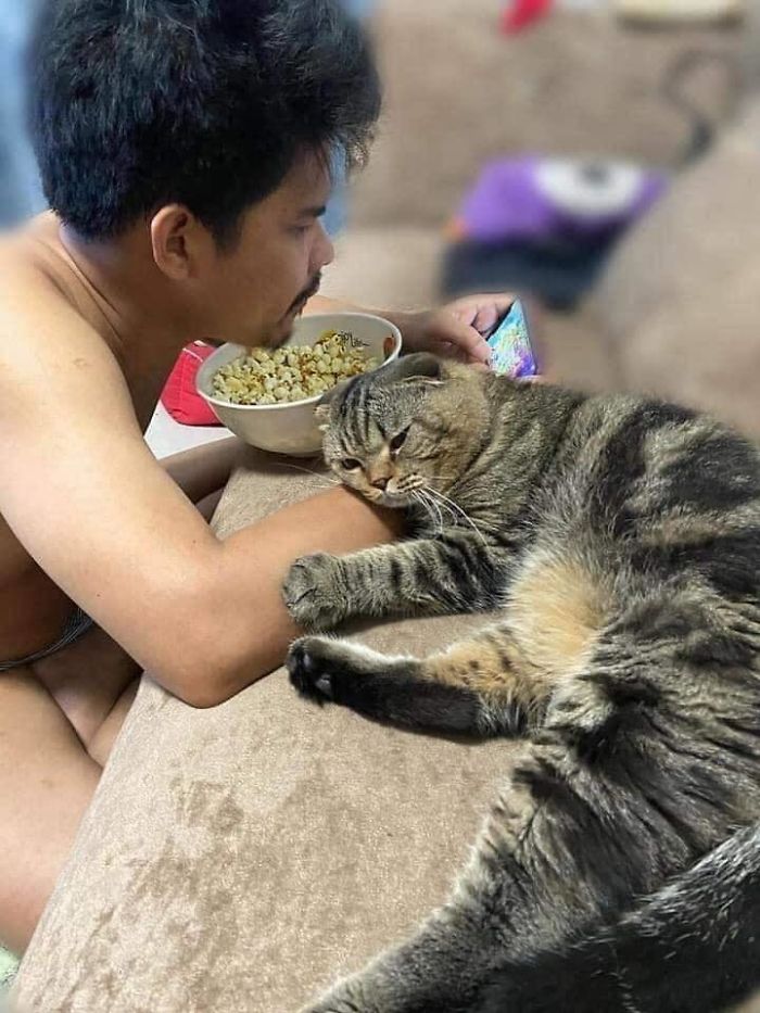 Wife Documents How This Cat Stole Her Husband In 30 Adorable Pics Wife Documents How This Cat Stole Her Husband In 30 Adorable Pics