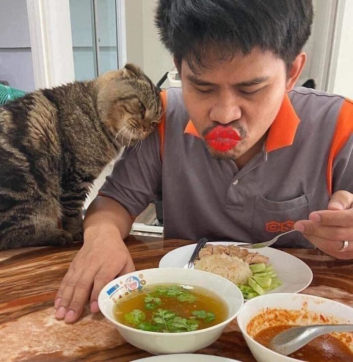Wife Documents How This Cat Stole Her Husband In 30 Adorable Pics Wife Documents How This Cat Stole Her Husband In 30 Adorable Pics
