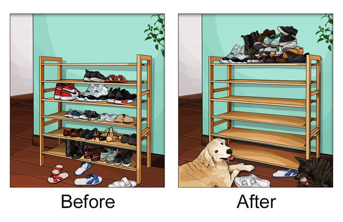 22 Life Changes That Happen After Getting A Pet 22 Life Changes That Happen After Getting A Pet