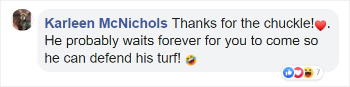 Mail Carrier Hilariously Documents How This Cat &#8216;Protects&#8217; Its Domain Every Day