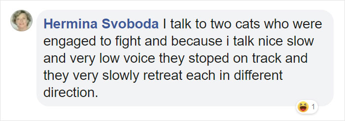 Mail Carrier Hilariously Documents How This Cat &#8216;Protects&#8217; Its Domain Every Day