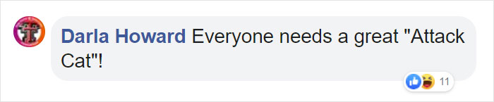 Mail Carrier Hilariously Documents How This Cat &#8216;Protects&#8217; Its Domain Every Day