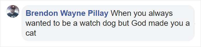 Mail Carrier Hilariously Documents How This Cat &#8216;Protects&#8217; Its Domain Every Day