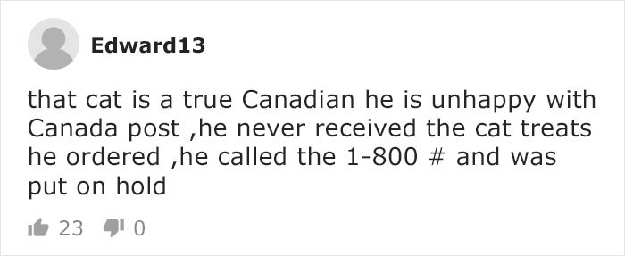 Mail Carrier Hilariously Documents How This Cat &#8216;Protects&#8217; Its Domain Every Day