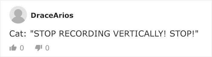 Mail Carrier Hilariously Documents How This Cat &#8216;Protects&#8217; Its Domain Every Day