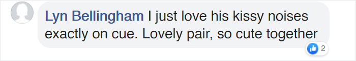 Watch These 2 Parrots Have The Most Adorable, Human-Like “Conversation” Watch These 2 Parrots Have The Most Adorable, Human-Like “Conversation”