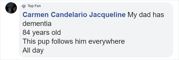 Girl Loses Her Sister To Cancer, Sister&#8217;s Dog Jet Steps In To Help Her Mourn And They Become Inseparable