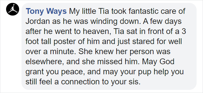 Girl Loses Her Sister To Cancer, Sister&#8217;s Dog Jet Steps In To Help Her Mourn And They Become Inseparable