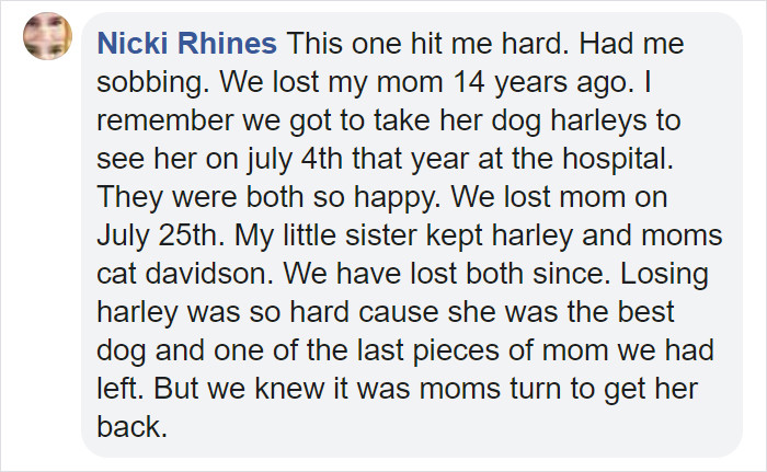 Girl Loses Her Sister To Cancer, Sister&#8217;s Dog Jet Steps In To Help Her Mourn And They Become Inseparable