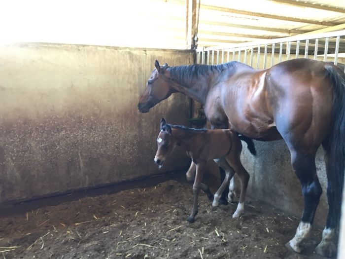 Hey Pandas, Show Us The Cutest Picture Of Your Pet (Closed) Hey Pandas, Show Us The Cutest Picture Of Your Pet (Closed)