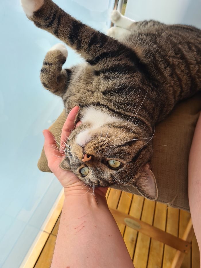 Hey Pandas, Show Us The Cutest Picture Of Your Pet (Closed) Hey Pandas, Show Us The Cutest Picture Of Your Pet (Closed)