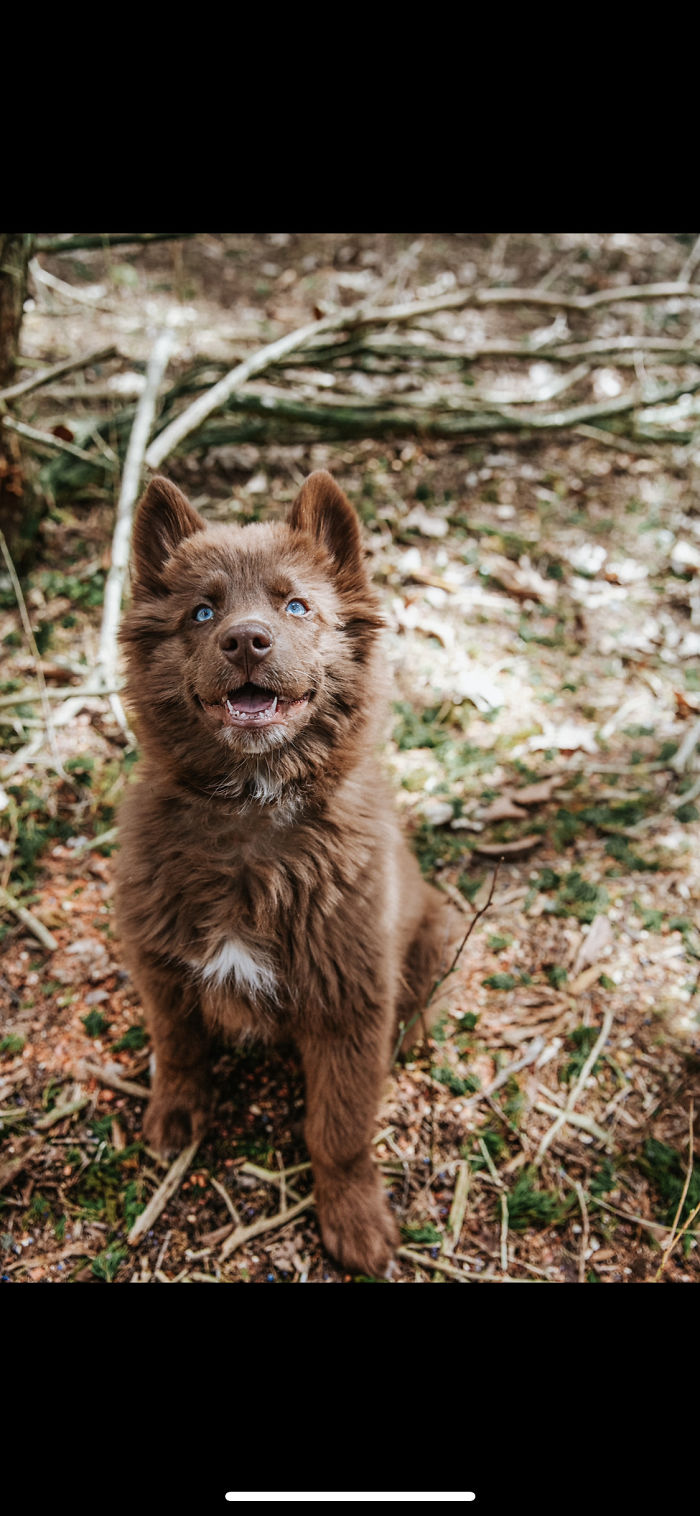 Hey Pandas, Show Us The Cutest Picture Of Your Pet (Closed) Hey Pandas, Show Us The Cutest Picture Of Your Pet (Closed)