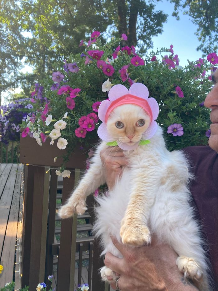 Hey Pandas, Show Us The Cutest Picture Of Your Pet (Closed) Hey Pandas, Show Us The Cutest Picture Of Your Pet (Closed)