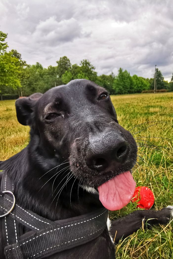 Hey Pandas, Show Us The Cutest Picture Of Your Pet (Closed) Hey Pandas, Show Us The Cutest Picture Of Your Pet (Closed)