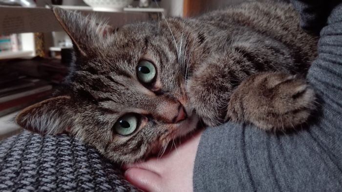 Hey Pandas, Show Us The Cutest Picture Of Your Pet (Closed) Hey Pandas, Show Us The Cutest Picture Of Your Pet (Closed)