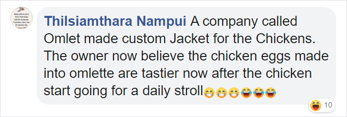 Man Grows Tired Of His Chickens Always Escaping The Coop So He Buys Them High-Visibility Vests Man Grows Tired Of His Chickens Always Escaping The Coop So He Buys Them High-Visibility Vests
